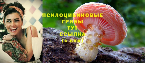 гидра Алексеевка
