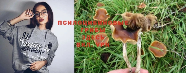 винт Армянск